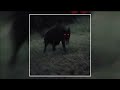 CRXSXDE PREDATOR SUPER SLOWED CRXSXDE PREDATOR SUPER SLOWED