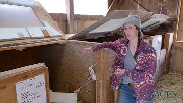 Rock Bottom Ranch: Poultry Brooder