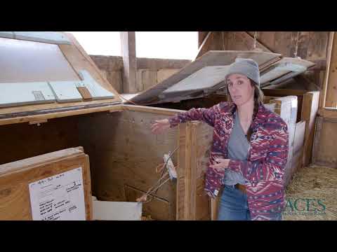 Rock Bottom Ranch: Poultry Brooder