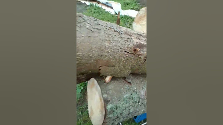 Дела житейские