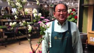 リキュウバイの育て方 日常管理 Youtube