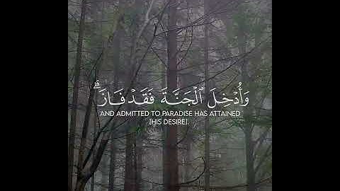 القارئ_ياسر_الدوسري سورة_آل_عمران #القرآن_الكريم #سورة_آل_عمران #ياسر_الدوسري