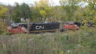 Scenic drone views of UP/CN mixed freights and priority train, CN's Osage Sub Cedar River train!