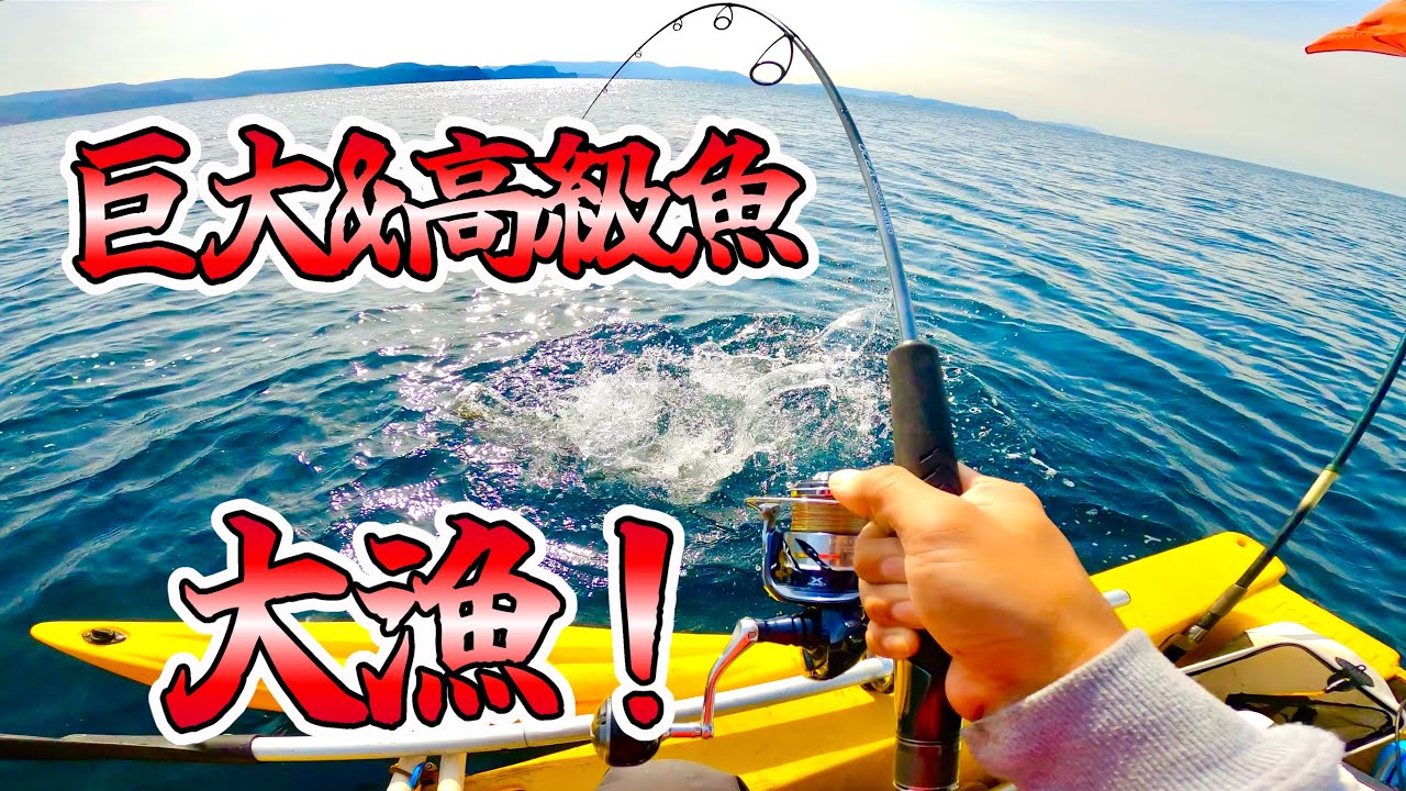 Огромная рыба со сверхчеловеческой силой, способная сломать иглу!