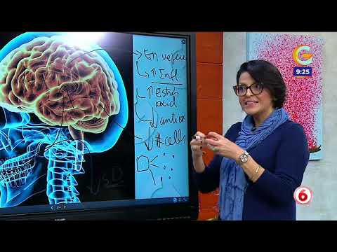 ¿Qué semillas retardan el envejecimiento cerebral?