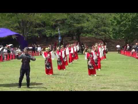 姫陣よしなが／芝生流し会場／あっぱれ富士2015
