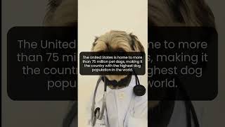 The incredible truth behind America's 75 million pet dogs