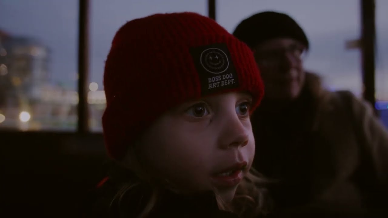 Victoria Harbour Ferry Harbour Lights Tour