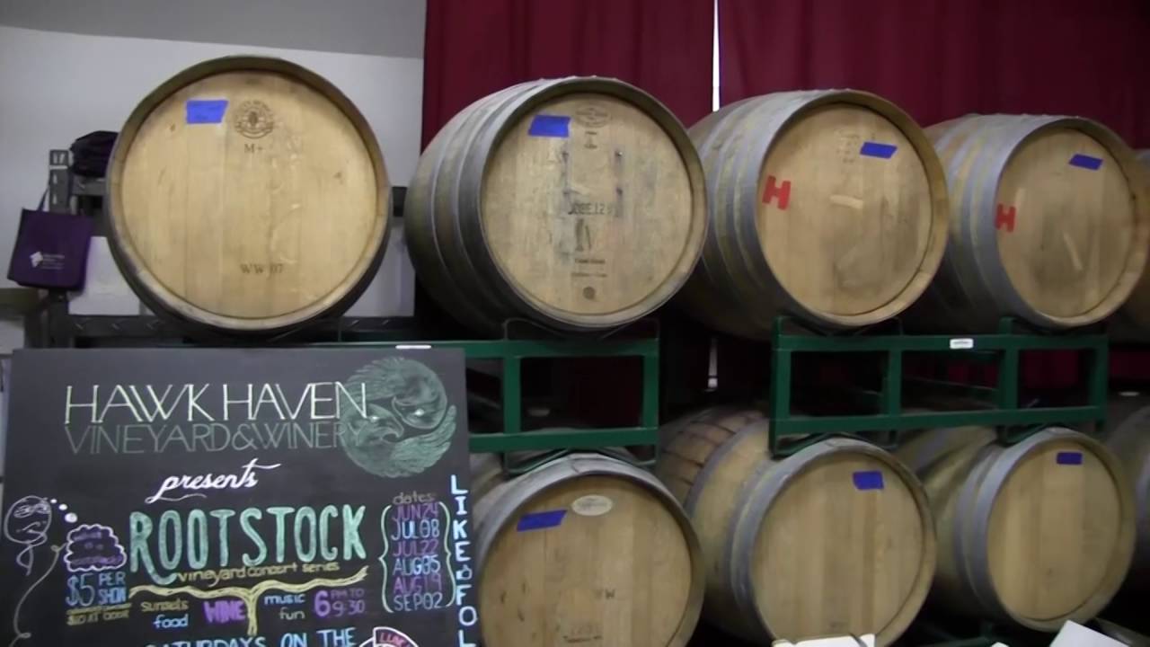 An afternoon at Hawk Haven Vineyard & Winery