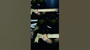 RED HOT CHILI PEPPERS - ROULETTE (Bass Cover) #rhcp #flea #shorts #bassshortoftheday