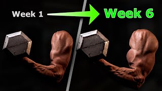 BIGGER ARMS in 6 weeks! [Biceps and Triceps]