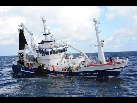 fishing boat sinks in irish sea sport fishing boat waste knot sinks off oregon inlet fishing boat sinks in irish sea sport fishing boat waste knot sinks off oregon inlet