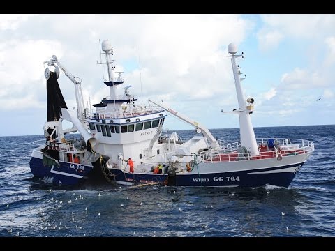 Mackerel Fishing in The North Sea September 2013 - YouTube