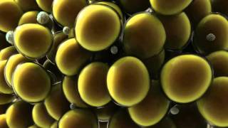 CoolSculptingAnimation_IC0300-A.mpg