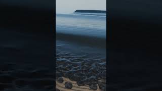 流水で遊ぼう！砂浜編波起こし！リスタート6日目のblender制作 #shorts #blender