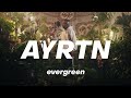 Ayrtn  south  evergreen live