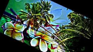 Video thumbnail of "Rata no to'u Fenua - Tapuarii Laughlin ★"