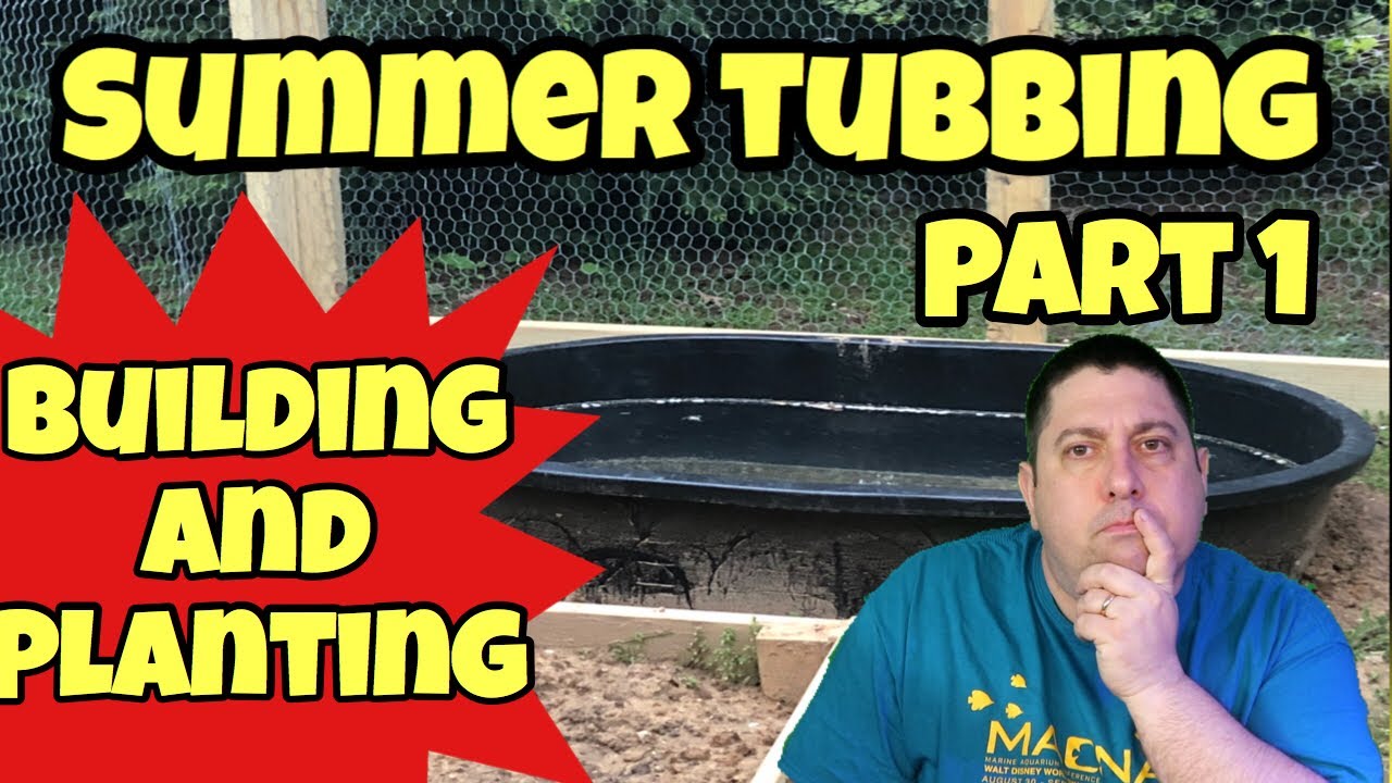 discus fish tank size 2019 Summer TUBBING PT. 1 - BUILDING AND PLANTING