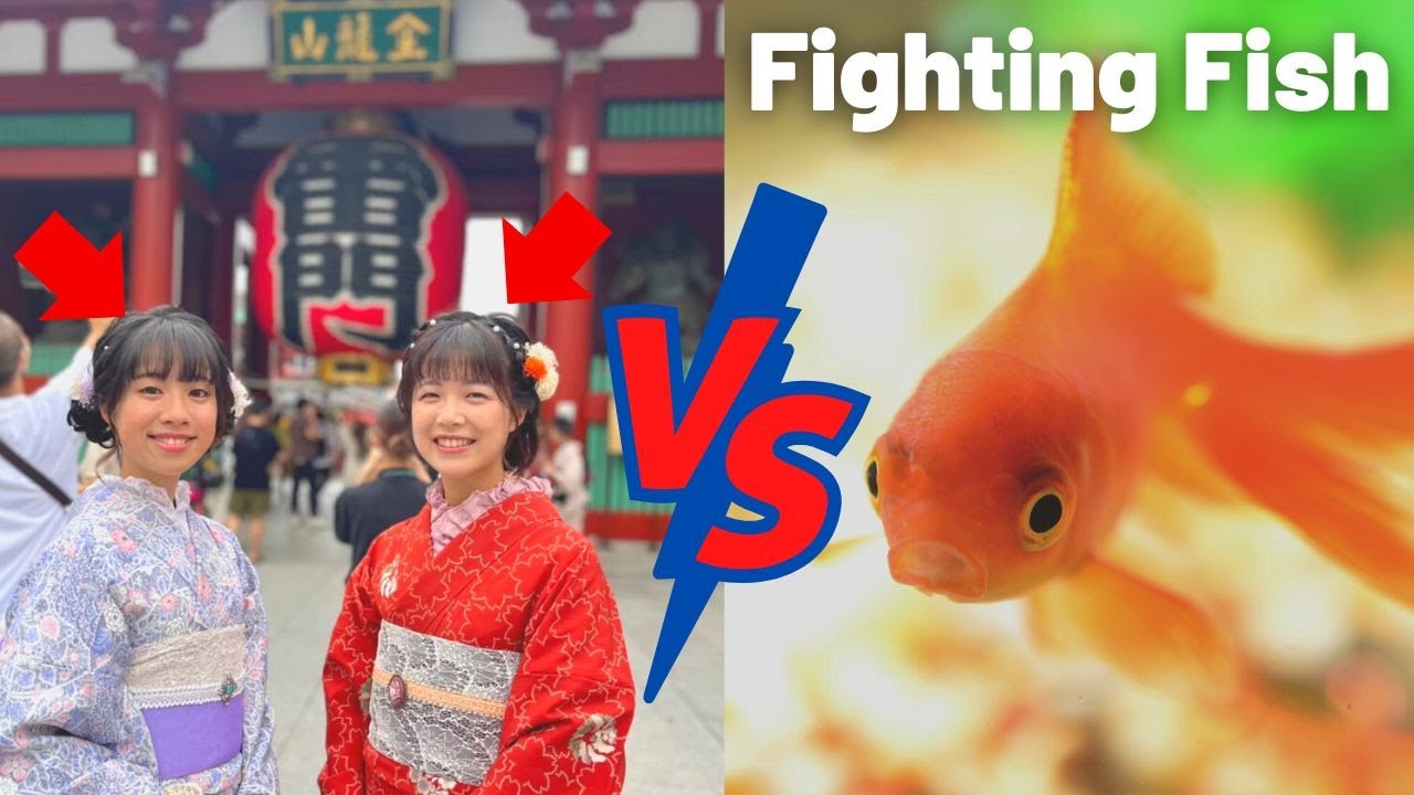 【Yuka-chan &MIsa】Playing goldfish scooping with a cute Japanese girl