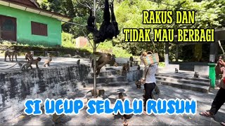 SI UCUP SELALU RAKUS…