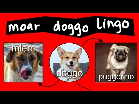 Pupper Doggo Woofer Chart
