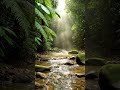 Listen to This Peaceful Jungle River 🌿💧 #shorts