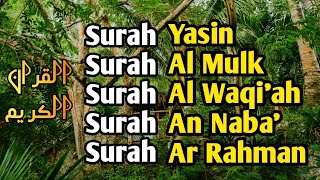 BANYAK PIKIRAN HATI GUNDAH DENGARKAN INI | SURAH YASIN, AL-MULK, AL-WAQI'AH, AN-NABA', AR-RAHMAN