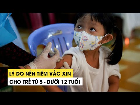 Video Lý do nên tiêm vắc xin Covid-19 cho trẻ từ 5 - dưới 12... - youtube