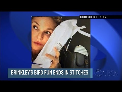Video: Pet Scoop: Štěně zachránil od New Yorku oheň, Christie Brinkleyová zraněná Snaží se zachránit ptáka