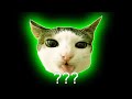 ❗Crunchy Cat Sound Variations in 30 Seconds❗