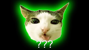 ❗Crunchy Cat Sound Variations in 30 Seconds❗