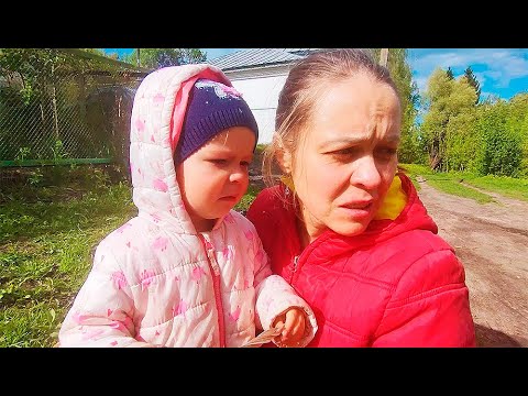 Сосед убил кошку граблями и выкинул в овраг. Дочь успокаивали, как могли