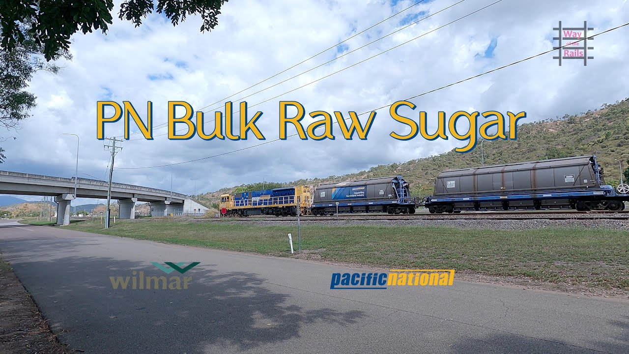 PN Bulk Raw Sugar (