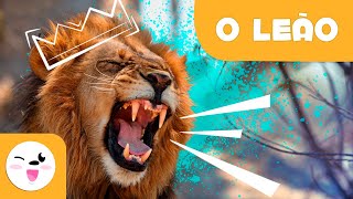 O LEÃO 🦁 Animais para crianças 🌞Episódio 1 - YouTube