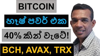 BITCOIN හෑෂ් පවර් එක 40% කින් වැටේ!!! | BCH, AVAX, XRP, ADA, AND TRX | ETHEREUM