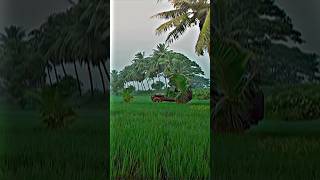 Mellaga Tellarindoi  Song | Shatamanam Bhavati  Movie Songs |  Sharwanand, Anupama | Telugu Hit Song