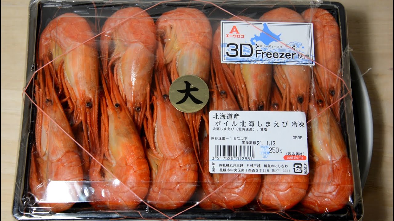 北海シマエビ Japan Indonesia Blog 北海シマエビ Japan Indonesia Blog