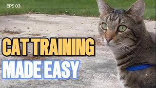 Train Your Cat: Gentle Techniques They'll Actually Listen To! / Cat World Academy by Cat World Academy 797 views 2 weeks ago 8 minutes, 13 seconds