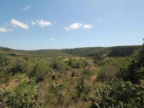 Farm For Sale in Port Alfred Central, Port Alfred, Eastern Cape, South Africa for ZAR 15,000,000