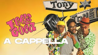 Tony! Toni! Toné! - Feels Good [DJ Pino “The Funky Filipino” DIY A Cappella]