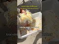 #foodmachine #vegetablecutter #commercialkitchen #foodmachinery #vegetableshredder