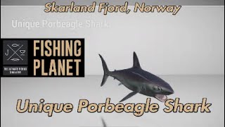 Unique Porbeagle Shark Skarland Fjord Norway Fishing Planet Guide