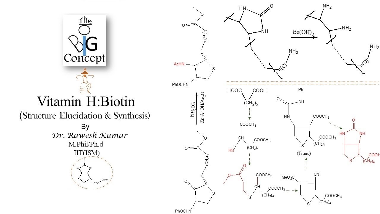 Vitamin H (Biotin) Structure Elucidation & Synthesis