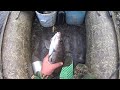 Рыбалка на ХАРИУСА в Коми/сплав по таёжной реке/часть1 Grayling fishing, river rafting