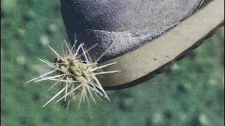 Ross From Friends - 'Revellers'