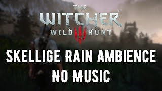 The Witcher 3 | A Rainy Day in Skellige | Ambience (No Music)