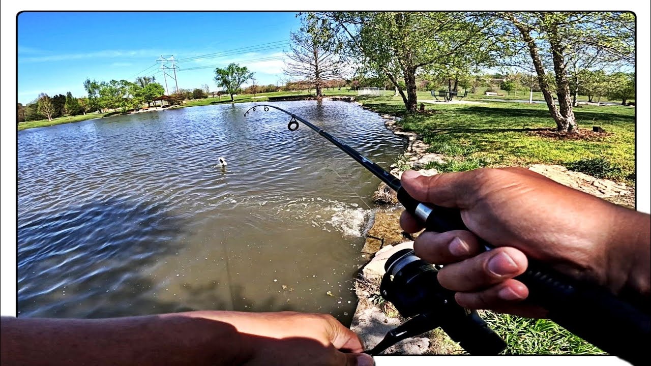 Spring Bass Fishing is the Best!