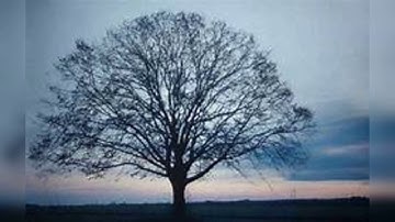 المصحف المرتل للشيخ محمد صديق المنشاوي بنسخة الاذاعة سورة الأنفال