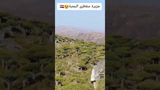 جزيرة سقطرى اليمنية