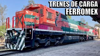 Más Trenes de Carga con Ferromex, Movimientos y un par de Sorpresas